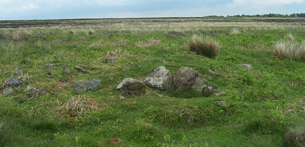Image of Barbrook cairns (Barrow / Cairn Cemetery) by IronMan