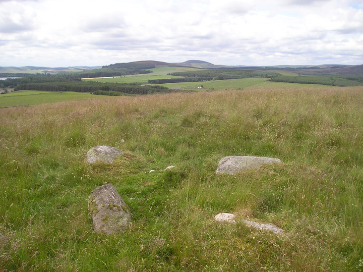 Image of Strone Hill (Stone Circle) by tiompan