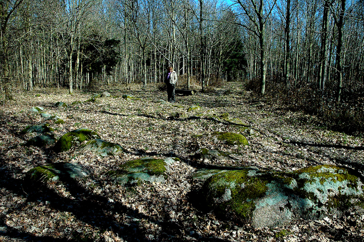 Image of Skibssætning i Konabbe Skov by Moth