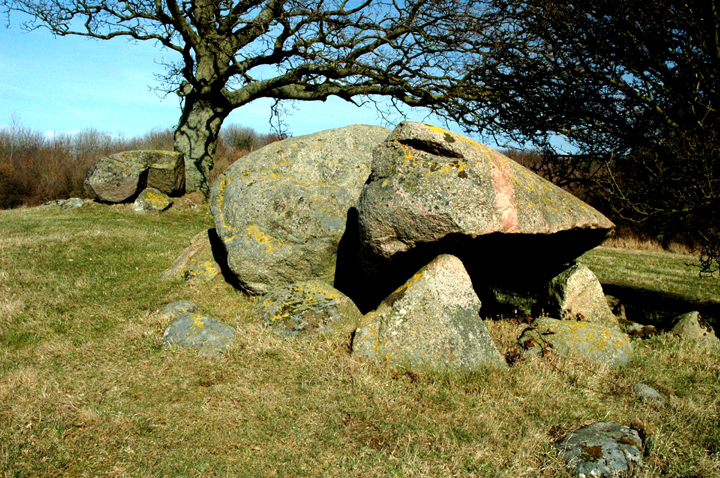 Image of Storsengrave ved Ravnebjerg Skov (Høj) by Moth