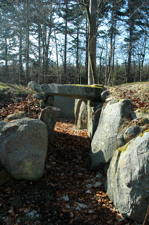 Image of Tved Skov Jættestuen by Moth