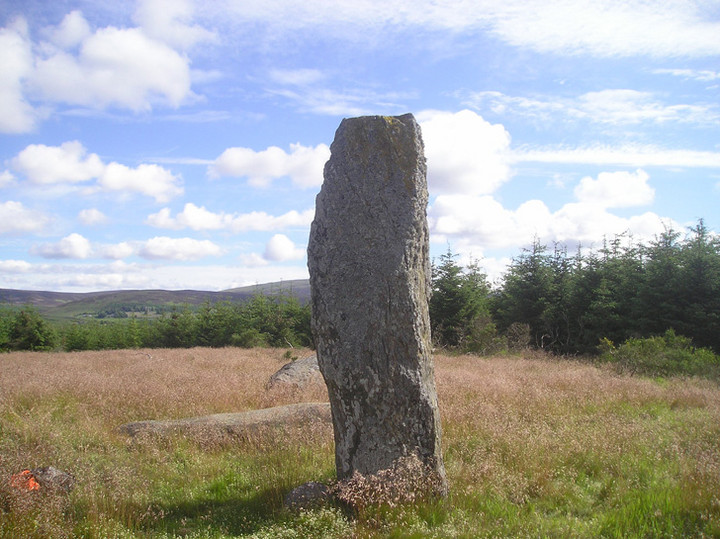 Image of Pitmudie Stone Row by tiompan