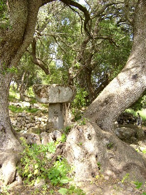 Image of Torre Llafuda (Taula) by sals
