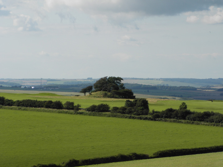 Image of Came Down Golf Club (Barrow / Cairn Cemetery) by formicaant