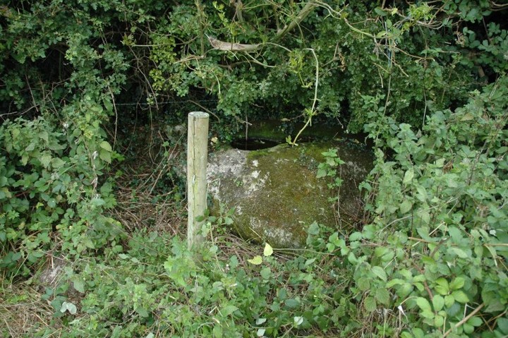 Image of Kildreenagh (Bullaun Stone) by ryaner