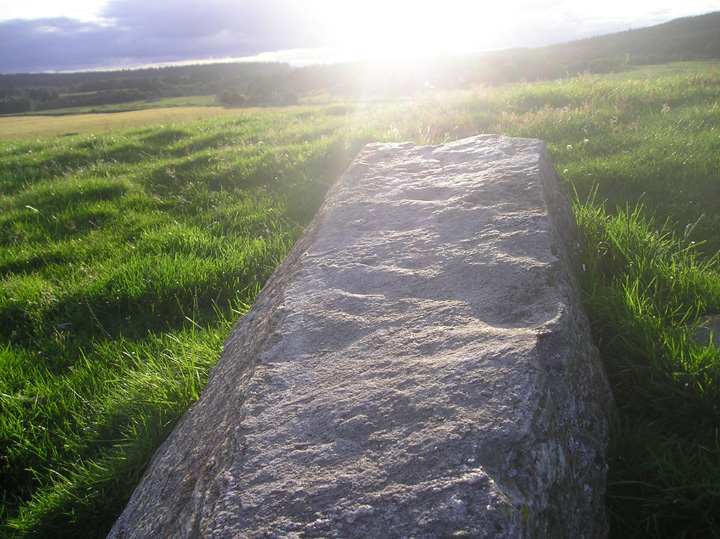 Image of Tom Nan Carragh (Stone Row / Alignment) by tiompan