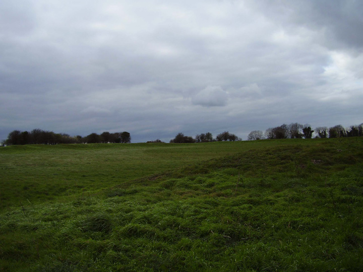 Image of Buzbury Rings (Hillfort) by formicaant