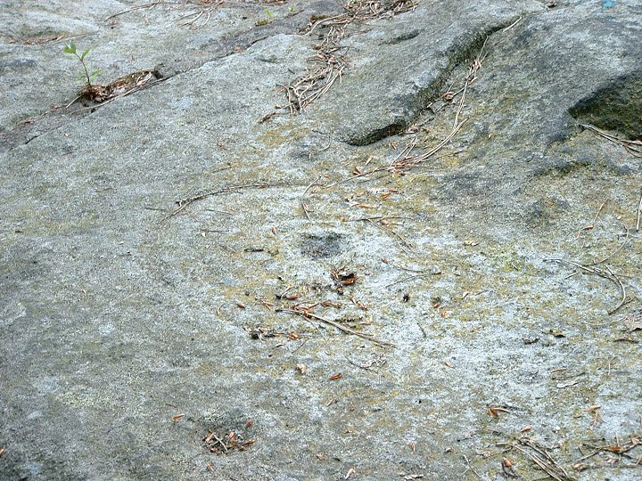 Image of Panorama Stone (Cup and Ring Marks / Rock Art) by Chris Collyer