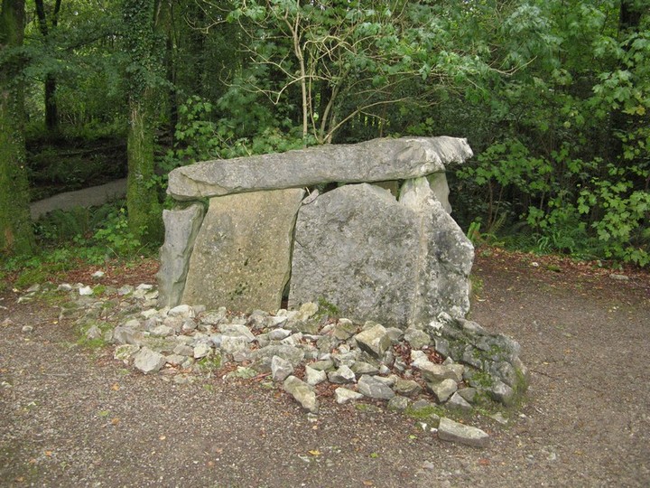 Image of Craggaunowen (Portal Tomb) by bawn79