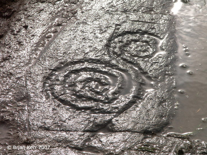 Image of Gallows Outon 1 (Cup and Ring Marks / Rock Art) by rockartwolf