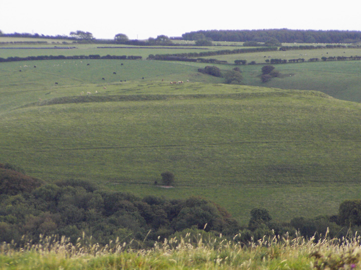 Image of Old Warren (Hillfort) by formicaant