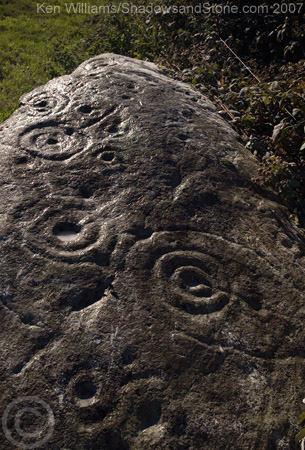 Image of Kinard East (Cup and Ring Marks / Rock Art) by CianMcLiam