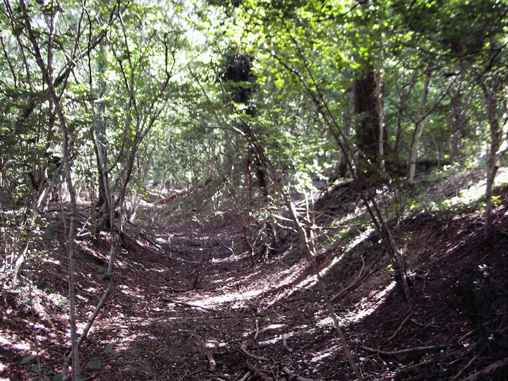 Image of Mistleberry Fort (Hillfort) by formicaant