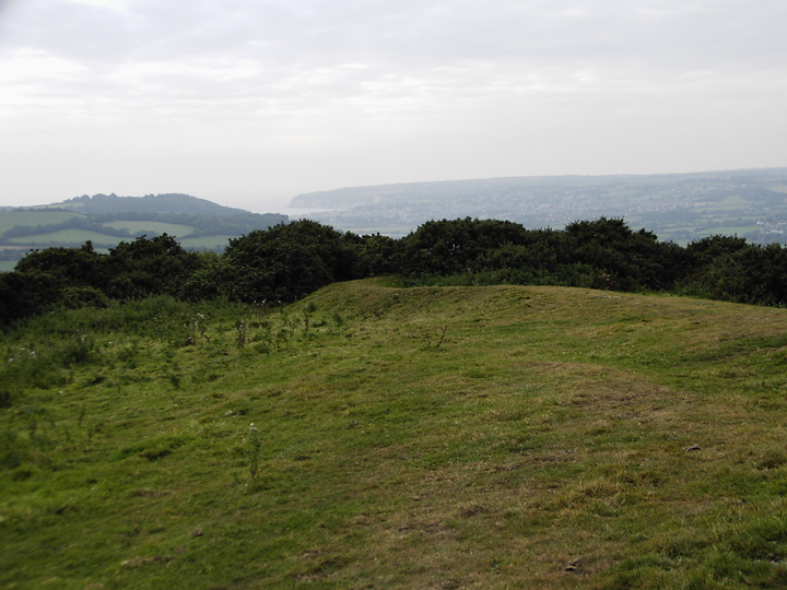 Image of Musbury Castle (Hillfort) by formicaant