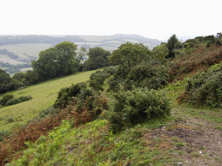 Image of Musbury Castle (Hillfort) by formicaant
