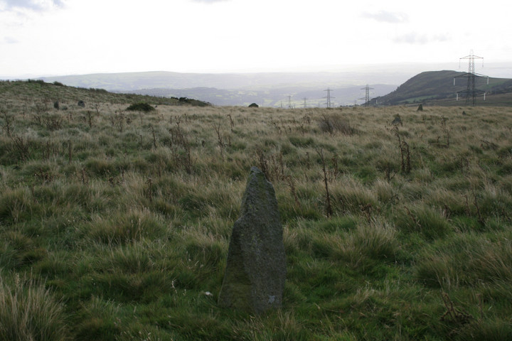 Image of Cerrig Pryfaid (Stone Circle) by postman