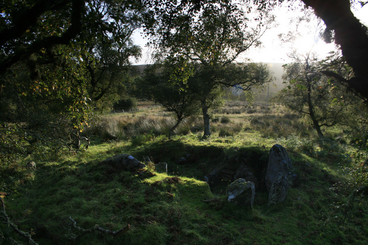 Image of Skail (Chambered Cairn) by postman