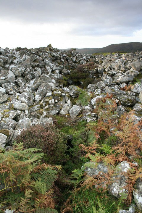 Image of Coille na Borgie (Chambered Tomb) by postman