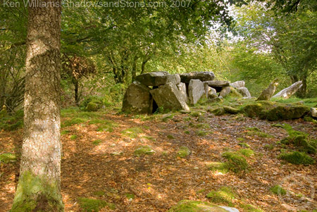 Image of Burren (E) (Wedge Tomb) by CianMcLiam