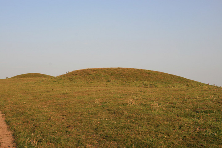Image of Tulk’s Hill (Round Barrow(s)) by Lubin