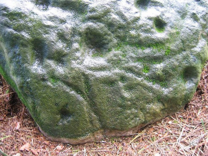 Image of Alwinton-Clennel Cottages (Cup and Ring Marks / Rock Art) by rockartuk