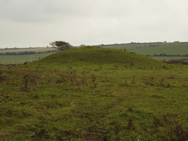 Image of Worth Matravers (Round Barrow(s)) by formicaant