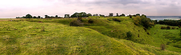 Image of Bincknoll Castle (Hillfort) by A R Cane