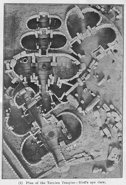 Image of Tarxien (Ancient Temple) by fitzcoraldo