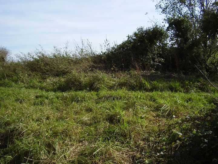 Image of Cowleaze Barrows (Round Barrow(s)) by formicaant