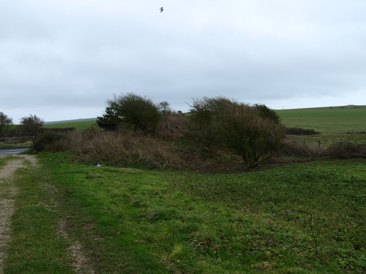 Image of Gould’s Hill Barrows by formicaant
