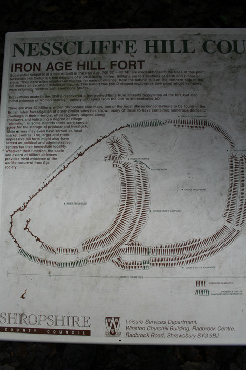 Image of Nesscliffe Hill Camp (Hillfort) by postman