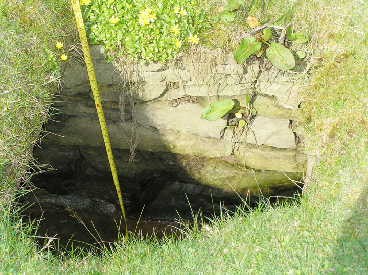 Image of Nether Crantit (Souterrain) by wideford