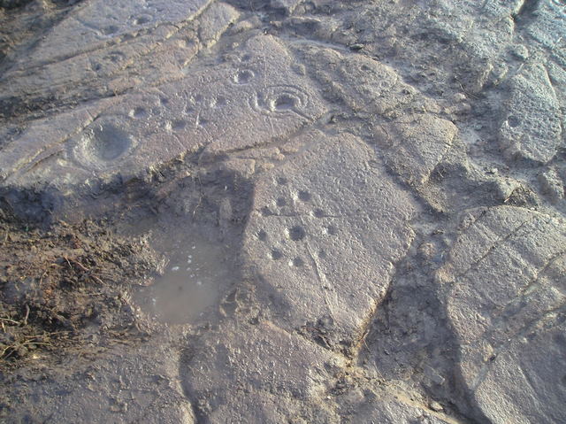 Image of Lurgan (Cup and Ring Marks / Rock Art) by tiompan