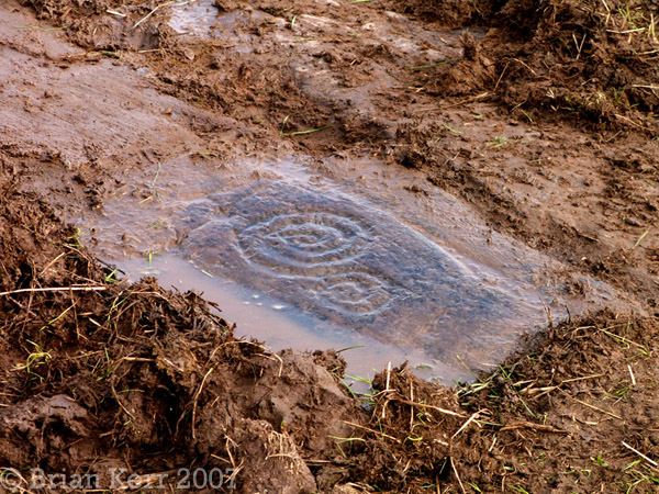 Image of Gallows Outon 1 (Cup and Ring Marks / Rock Art) by rockartwolf