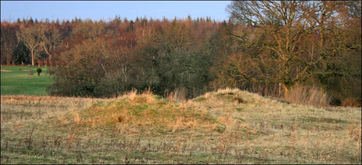 Image of Woodcutts Common Settlement by mrcrusty