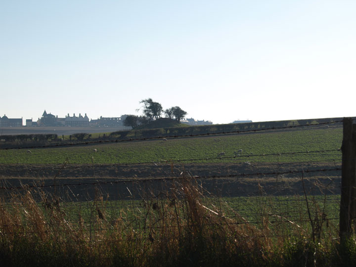 Image of Whitfield (Round Barrow(s)) by formicaant