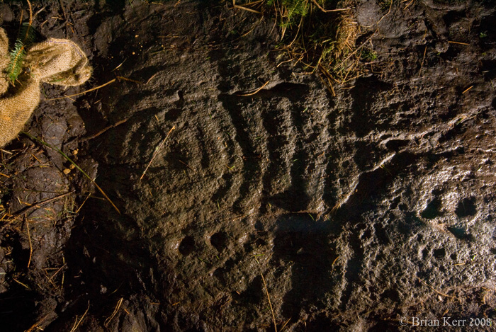 Image of Achnabreck New 1 (Cup and Ring Marks / Rock Art) by rockartwolf