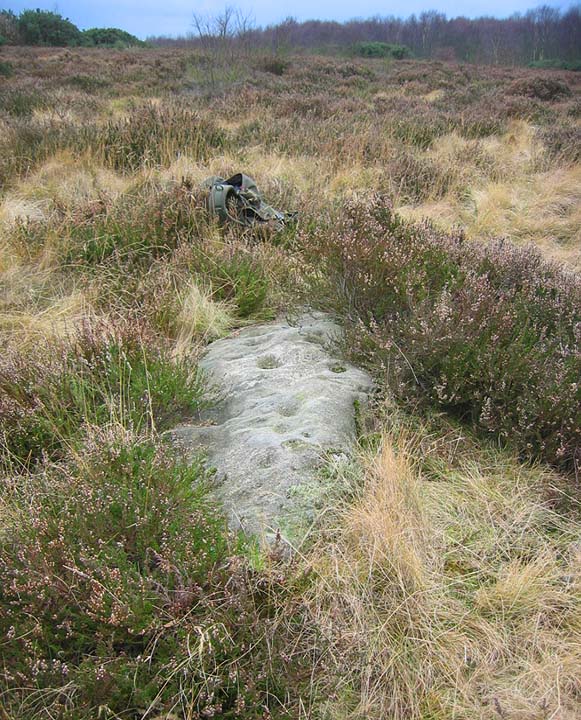 Image of Eston Moor Carved Stone (Cup and Ring Marks / Rock Art) by fitzcoraldo