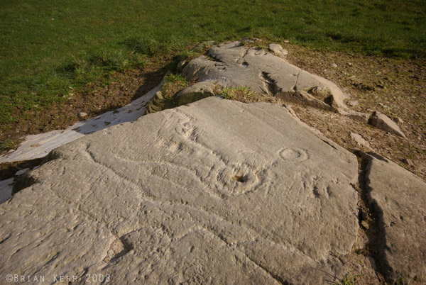 Image of Blairbuy 6 (Cup and Ring Marks / Rock Art) by rockartwolf