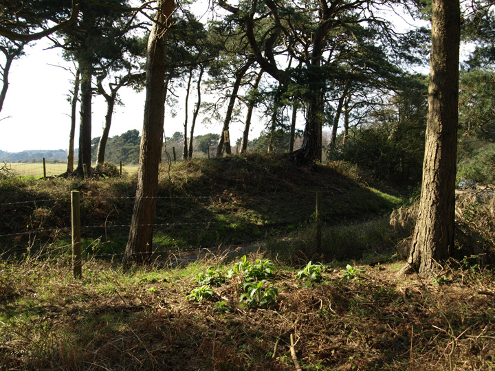 Image of Tadnoll Barrow (Round Barrow) by formicaant