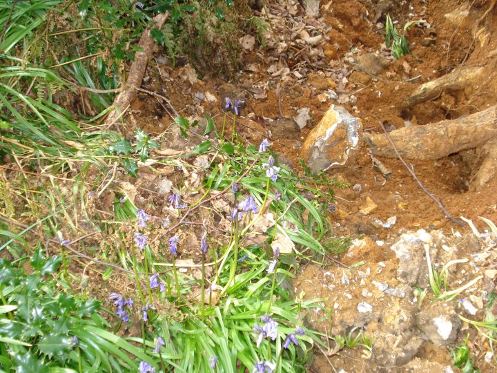 Image of Barrow Copse (Long Barrow) by Chance