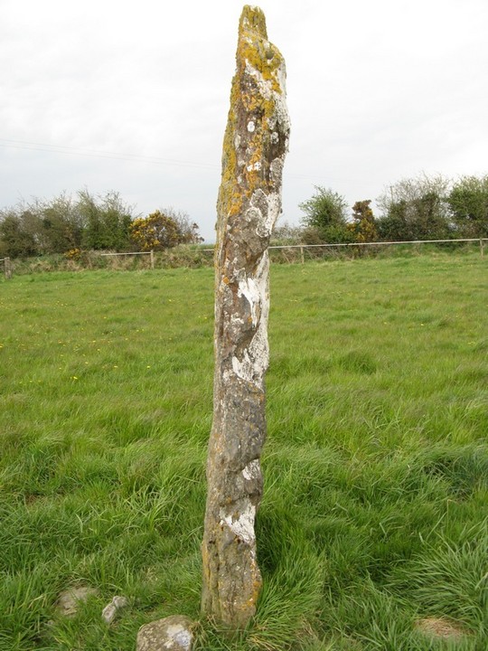 Image of Ballinculloo (Standing Stone / Menhir) by bawn79