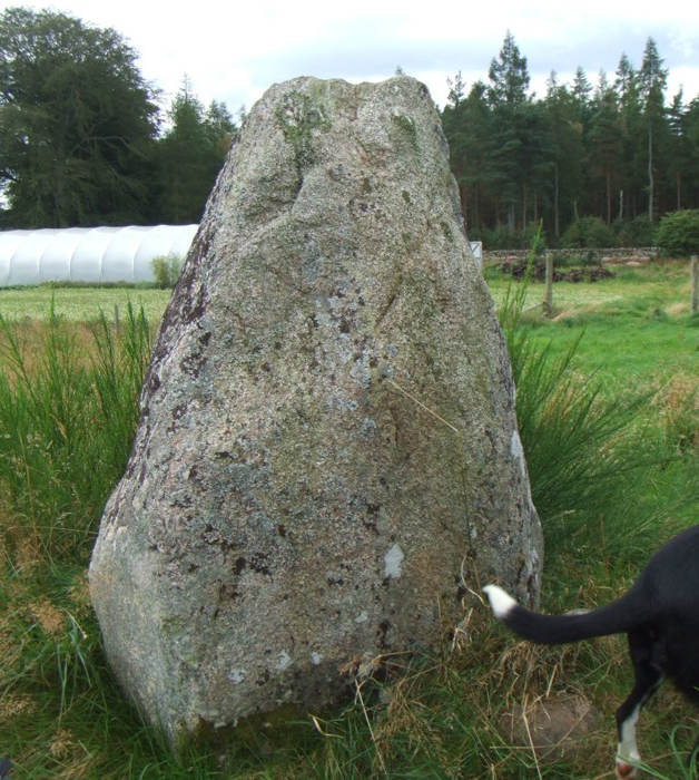 Image of Torbreck (Stone Circle) by md1016