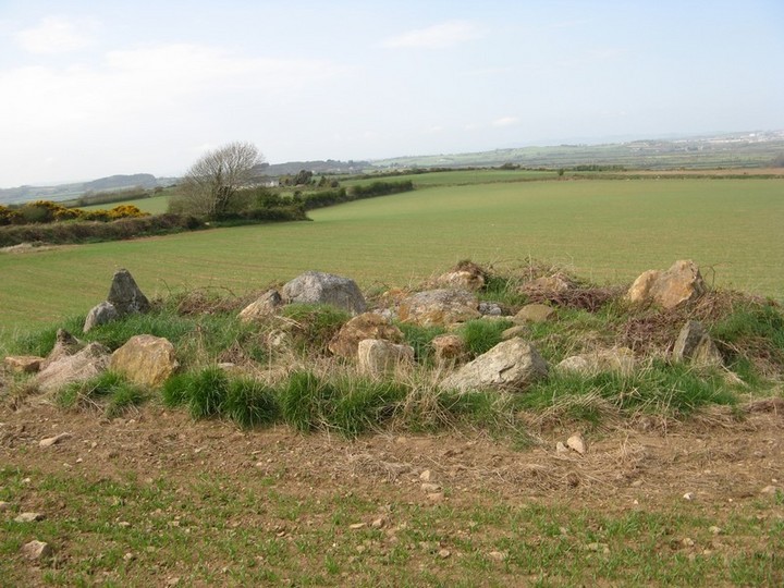 Image of Carriglong (Passage Grave) by bawn79