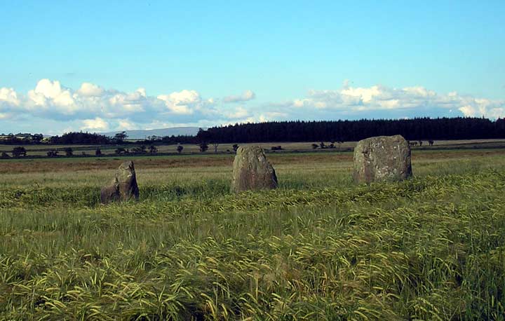 Image of Largizean (Stone Row / Alignment) by baza