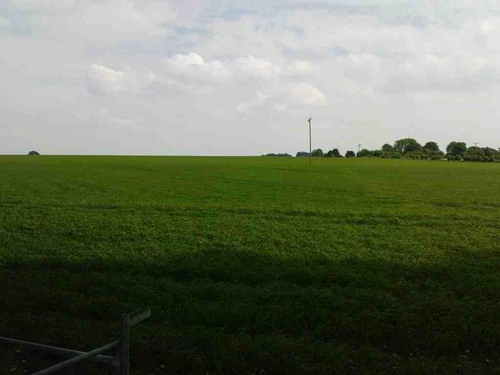 Image of South Wonston North Long Barrow by UncleRob