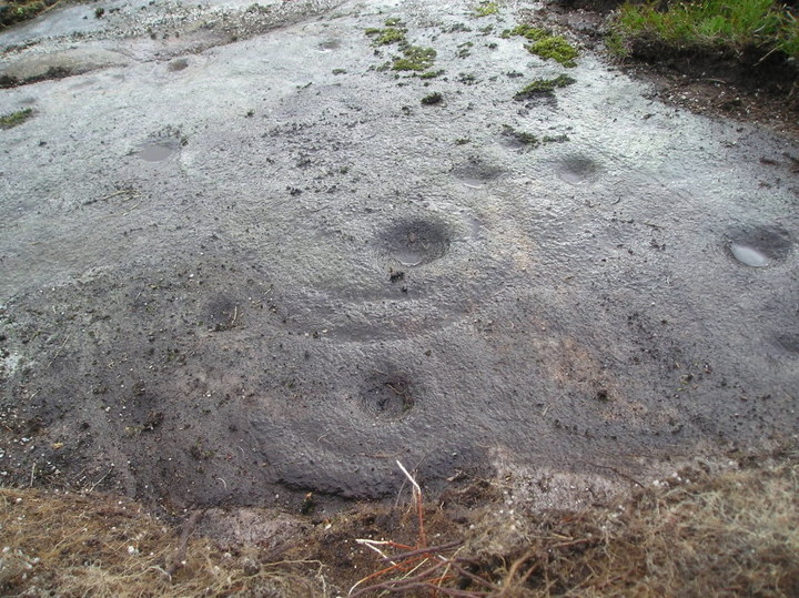 Image of Craig Hill (Cup and Ring Marks / Rock Art) by tiompan