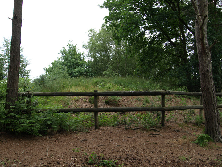 Image of Canon Hill (Round Barrow(s)) by formicaant