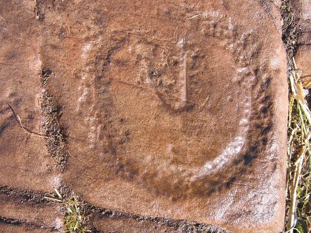 Image of Eggerness (Carving) by rockartuk
