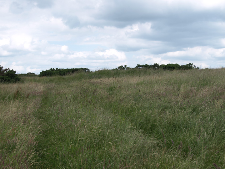Image of Grimstone Down (Ancient Village / Settlement / Misc. Earthwork) by formicaant